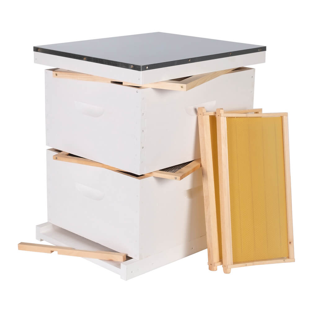 BK-1321-Hive Kit-Beeswax-Foundation-Painted-3