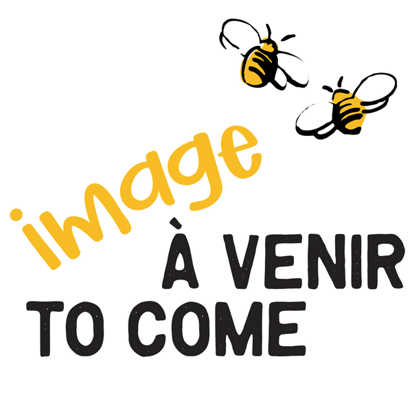 En attente de l’image du produit
